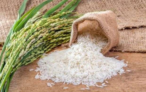 افزایش قیمت برنج ارتباطی به ماه رمضان ندارد