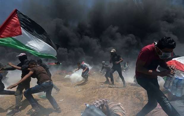 آماده شدن غزه برای جمعه "از غزه تا حیفا"