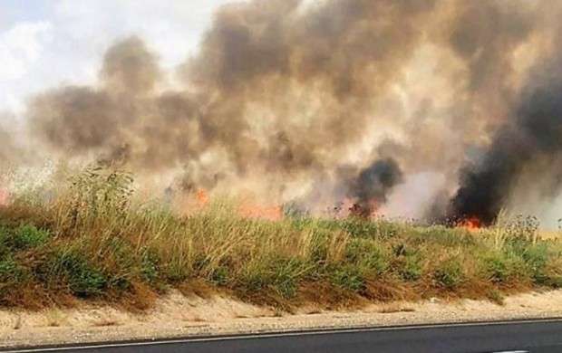 فراخوان مقام صهیونیست به آتش زدن مزارع غزه