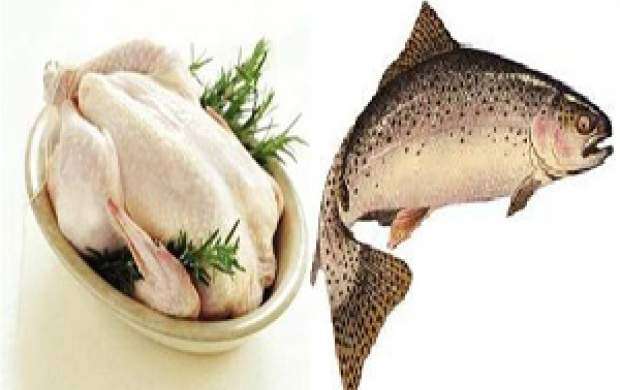 آخرین تحولات بازار مرغ و ماهی اعلام شد