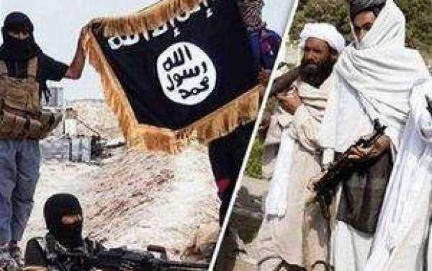 درگیری طالبان و داعش و اسیر شدن ۹ داعشی