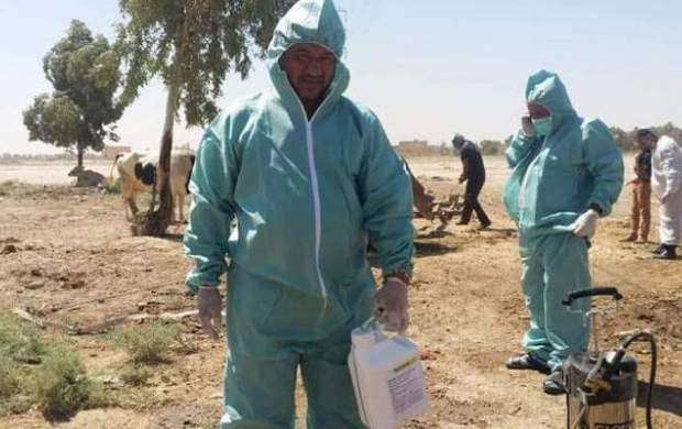 ظهور بیماری ابولا در عراق موجب نگرانی مردم شد