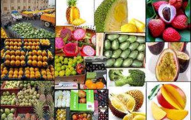کاهش شدید تقاضای مردم برای خرید میوه