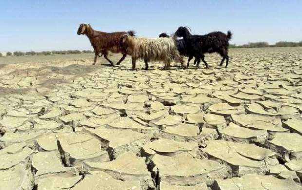 خشکسالی در کرمان بحران ایجاد کرده است