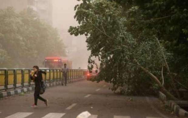 وزش باد نسبتا شدید در تهران