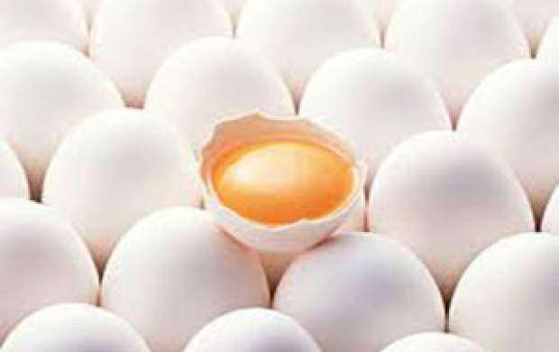 پیش‌بینی یک قیمت نجومی برای تخم مرغ