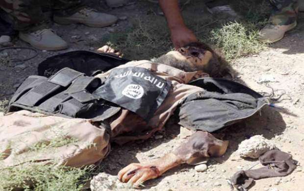 هلاکت ۱۳۶ داعشی در السویدا