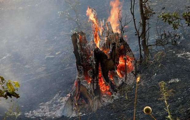 ​شعله ور شدن مجدد آتش در مراتع مریوان
