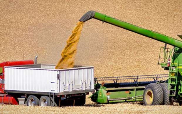 افزایش یک میلیون تنی تولید گندم در کشور
