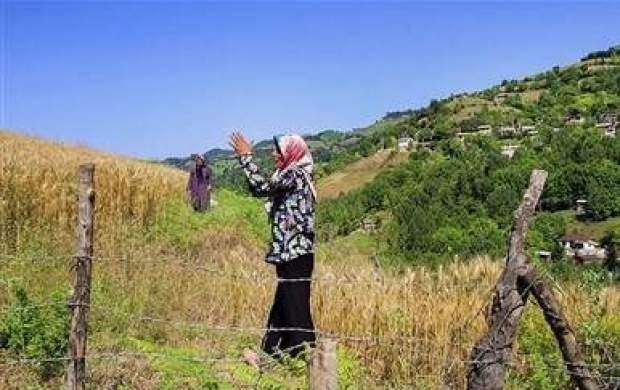 کشاورزی خوزستان؛ قربانی وعده‌های ناتمام