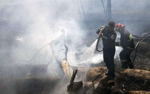 ​حریق 80 درخت را در شیراز سوزاند