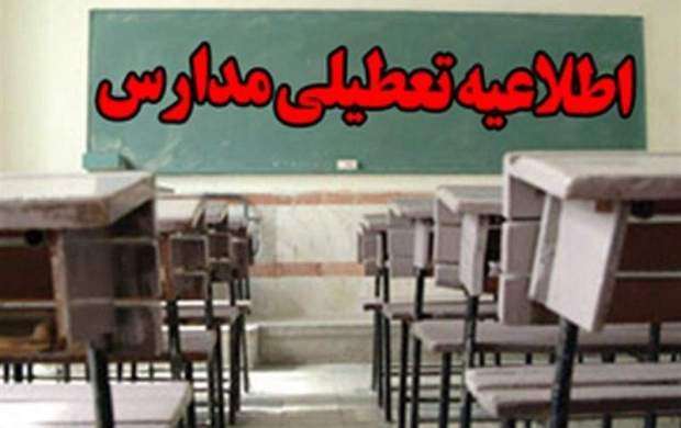 آلودگی هوا مدارس کرمان را تعطیل کرد