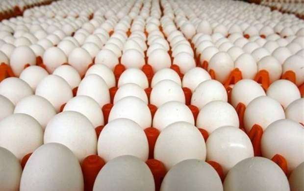 سرانه مصرف تخم مرغ در کشور به 198 عدد رسید
