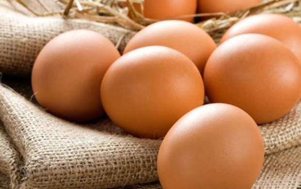 صادرات ۱۷ تن تخم‌مرغ نطفه‌دار ایران