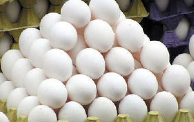 کاهش ۱۵۰ تومانی نرخ تخم مرغ در بازار