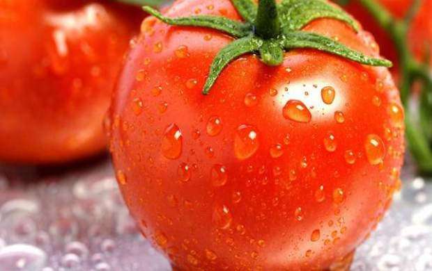 بیماری‌های که گوجه‌فرنگی با آن‌ها مبارزه می‌کند
