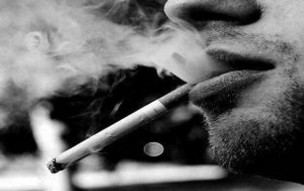 چند میلیون نفر سیگاری حرفه‌ای داریم؟