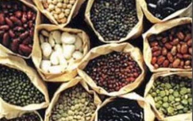 صادرات ۱۸ نوع ماده غذایی ممنوع شد +سند
