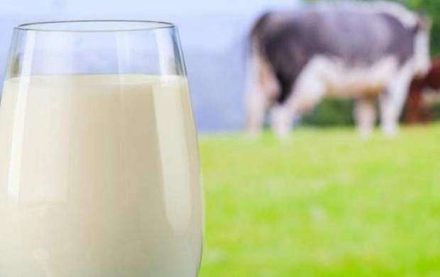 ۵ باور اشتباه درباره شیر گاو
