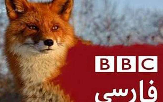 از روزنامه شرق تا کادر سازی برای BBC
