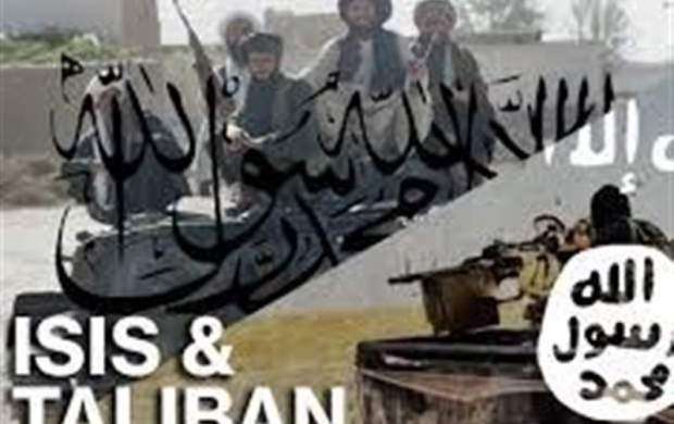 کشته شدن ۵۰ داعشی در حمله طالبان به افغانستان