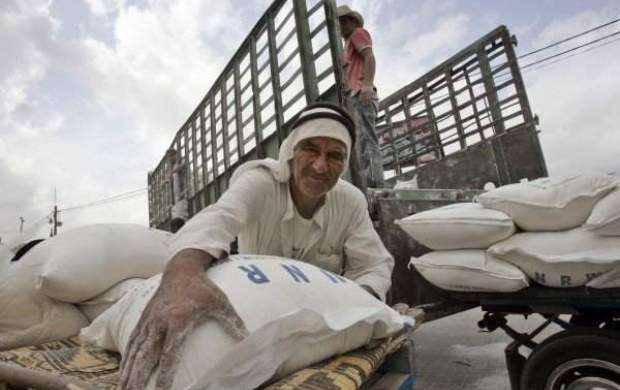 قطعِ کمکهای «برنامه جهانی غذا» به مردم فلسطین