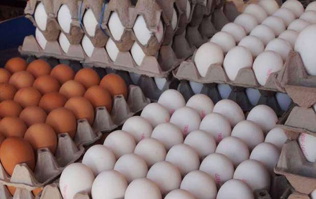 قیمت هر کیلو تخم مرغ ۷ هزار و ۴۰۰ تومان