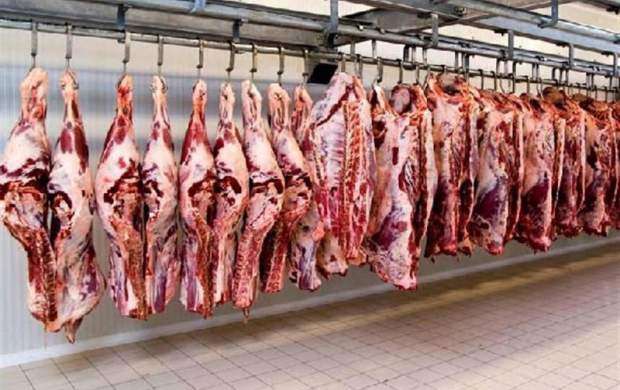 واردکنندگان گوشت ۱۷ هزار تن گوشت را دپو کردند