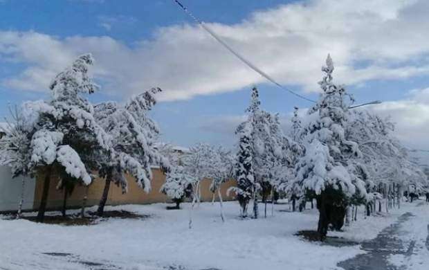 کولاک برف در ارتفاعات تهران و شمال کشور
