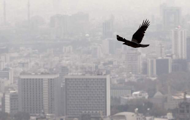 آلودگی هوا سالانه جان چند میلیون نفر را می‌گیرد؟