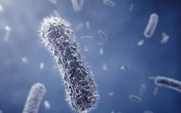 کشف روش جدید برای مقابله با باکتری‌های مقاوم