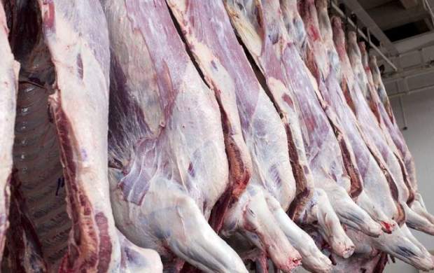 واردات گوسفند برای تنظیم بازار گوشت ادامه دارد