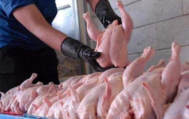 قیمت مرغ همچنان در کانال ۱۱ هزار تومان