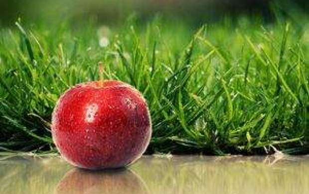 فواید شگفت انگیز سیب برای سلامتی و درمان