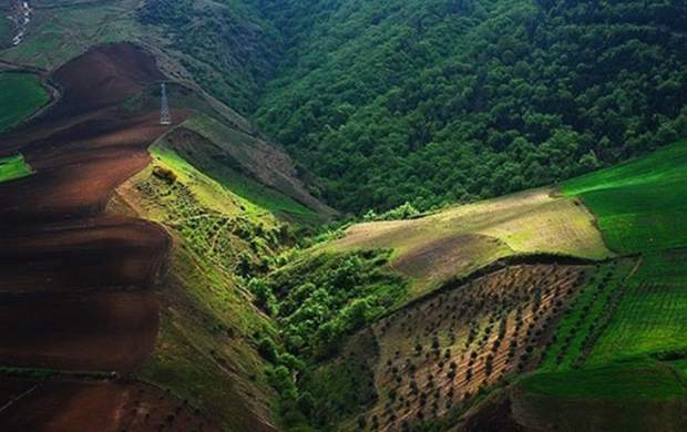 جنگل‌های هیرکانی ایران جهانی شد