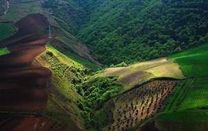 جنگل‌های هیرکانی ایران جهانی شد