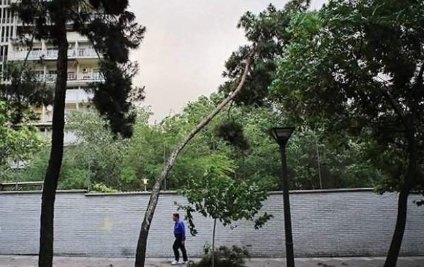 وزش باد شدید در تهران و ۶ استان دیگر کشور