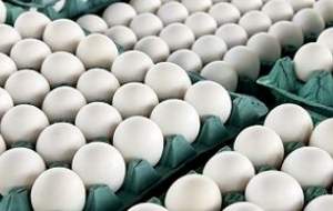 هر شانه تخم مرغ به ۲۰ هزار تومان رسید