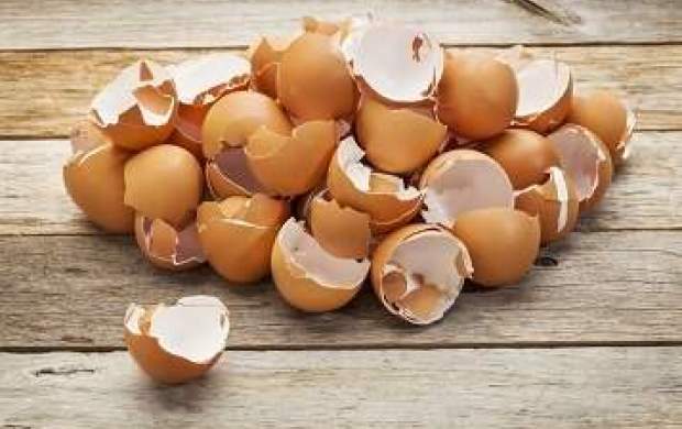 تاثیر پوست تخم مرغ در رشد استخوان‌ها