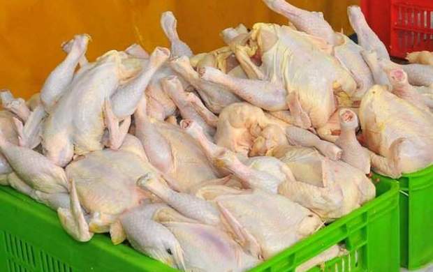 جریمه ۴۰۰ میلیونی برای گرانفروشان مرغ