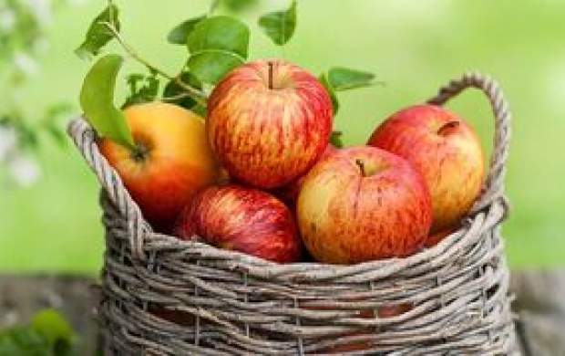 چرا سیب مهم‌ ترین میوه دنیاست؟
