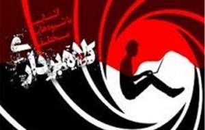 کلاهبرداری با استفاده از منازل مبله!