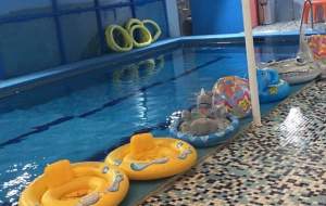قصه ادامه‌دار شنای مختلط در مهدهای کودک‌‌