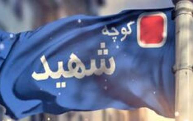 مقصر پروژه شهید زدایی در تهران مشخص شد