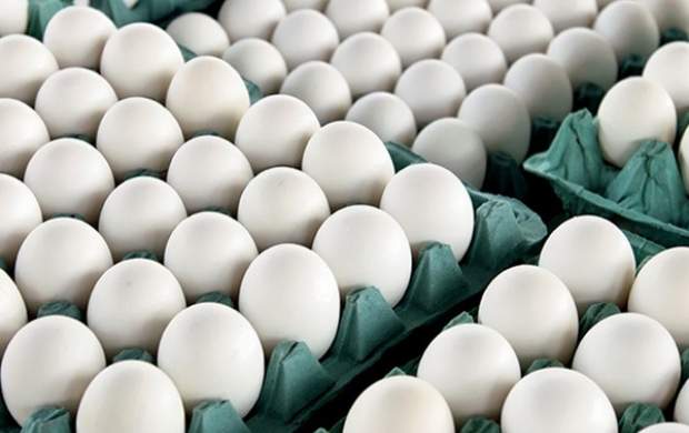 افزایش قیمت تخم‌مرغ در بازار