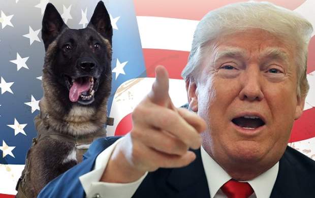 «ترامپ» خودش را با «سگِ کونان» مقایسه کرد!