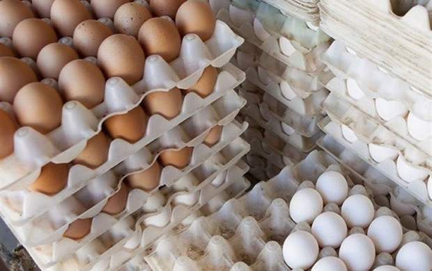تخم‌ مرغ رسماً ۱۵ درصد گران شد