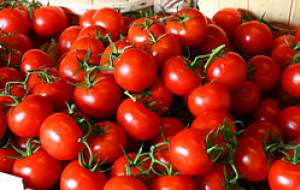 گوجه در عمده فروشی‌ها ۹ هزار تومان +جدول