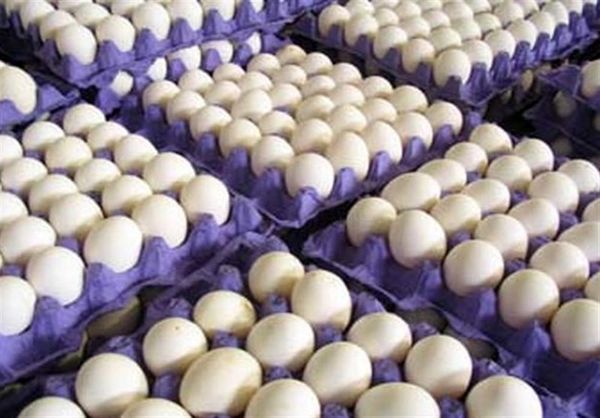 جنگ تخم‌مرغی در فروشگاه‌های اسرائیل