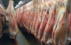 قیمت منطقی گوشت گوسفندی چقدر است؟